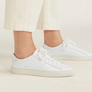 NWT Everlane - The Day Sneaker